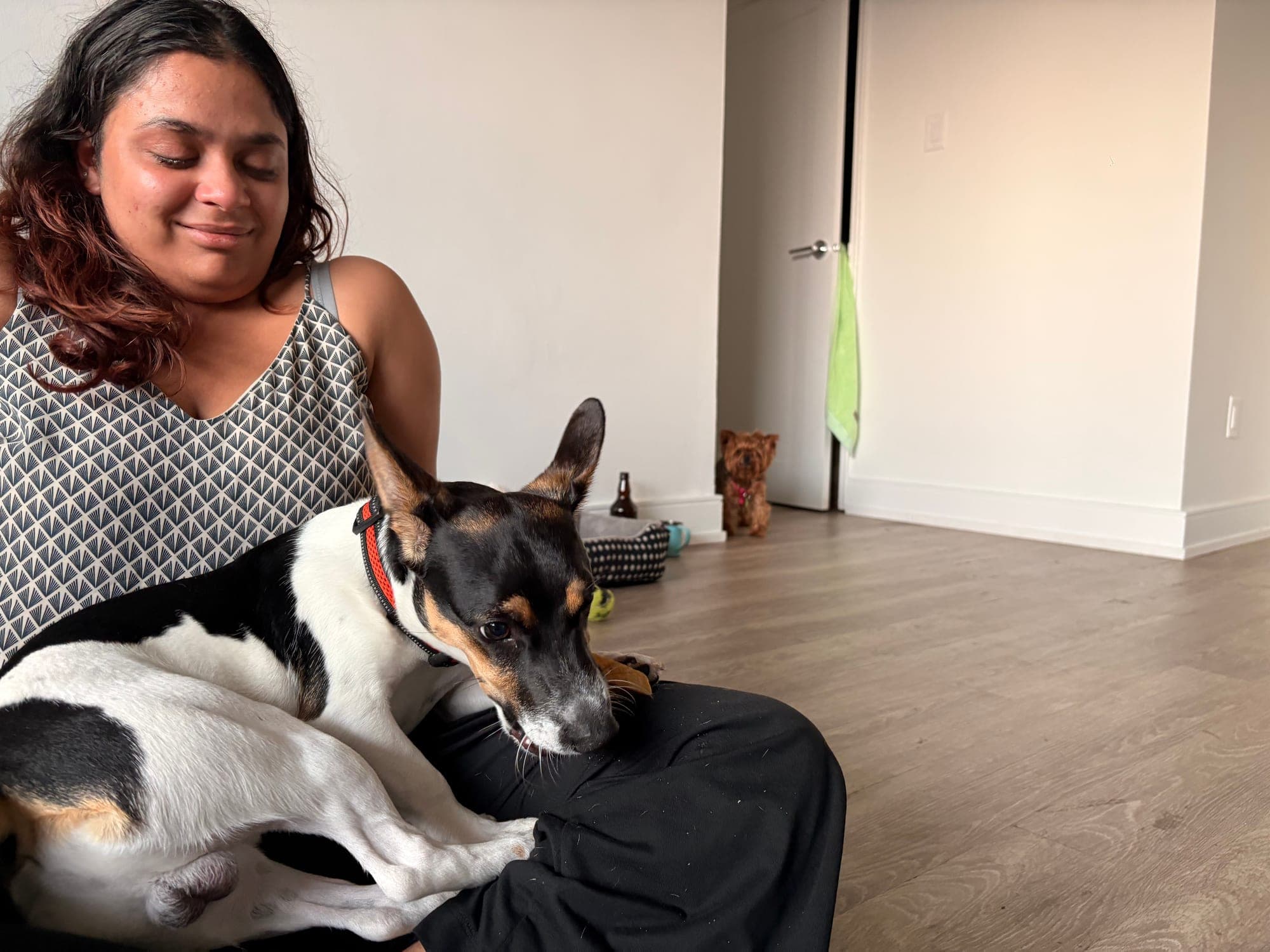 Khushi sitting on a wooden floor with a small black, white and tan dog resting in her lap.
