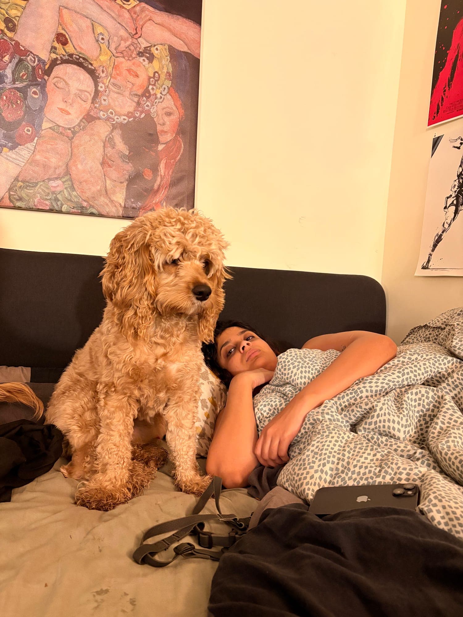 A curly apricot dog sitting upright on a bed beneath a large painting, with Khushi lying beside it under a blanket.